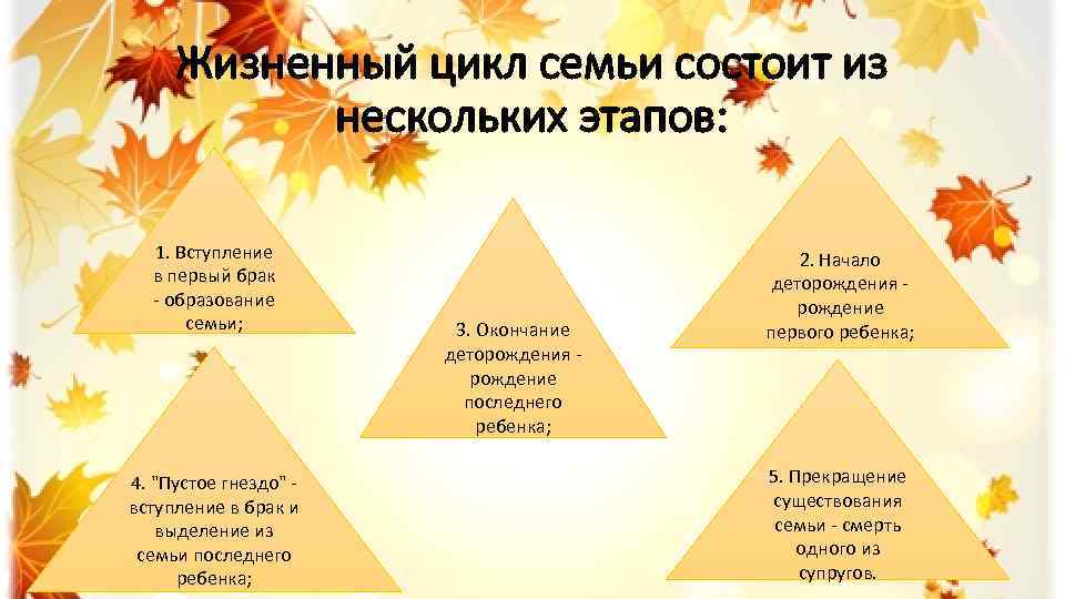 Жизненный цикл семьи состоит из нескольких этапов: 1. Вступление в первый брак - образование