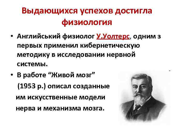 Выдающихся успехов достигла физиология • Английський физиолог У. Уолтерс, одним з первых применил кибернетическую