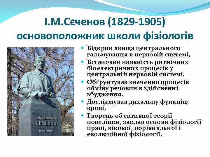 І. М. Сєченов (1829 -1905) основоположник школи фізіологів Відкрив явища центрального гальмування в нервовій