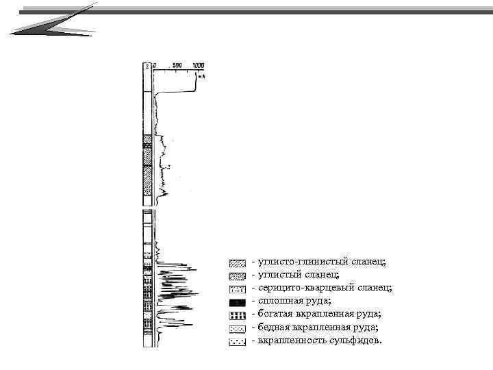 - углисто-глинистый сланец; - углистый сланец; - серицито-кварцевый сланец; - сплошная руда; - богатая