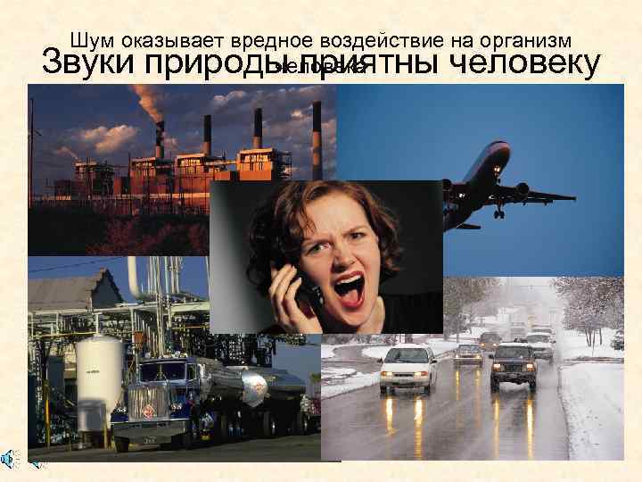 Шум оказывает вредное воздействие на организм человека Звуки природы приятны человеку 