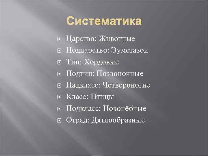 Систематика Царство: Животные Подцарство: Эуметазои Тип: Хордовые Подтип: Позвоночные Надкласс: Четвероногие Класс: Птицы Подкласс: