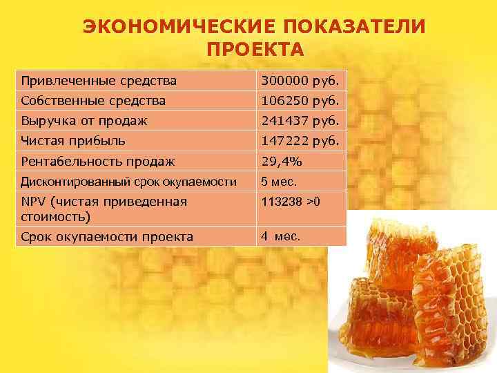 ЭКОНОМИЧЕСКИЕ ПОКАЗАТЕЛИ ПРОЕКТА Привлеченные средства 300000 руб. Собственные средства 106250 руб. Выручка от продаж