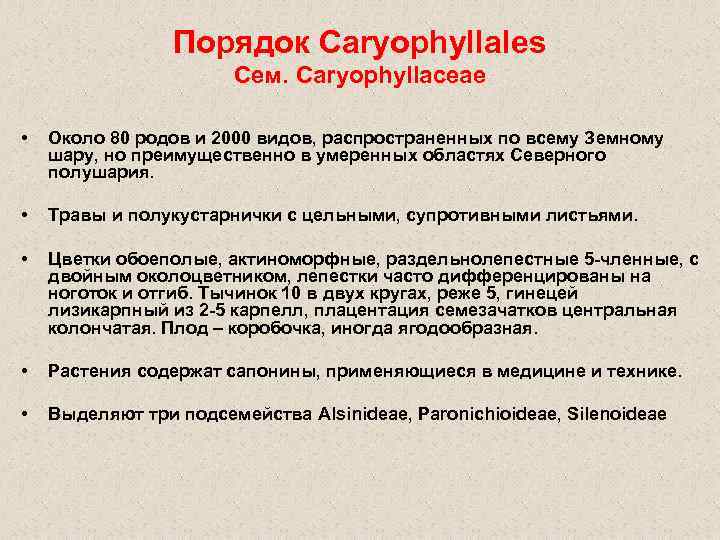 Порядок Caryophyllales Сем. Caryophyllaceae • Около 80 родов и 2000 видов, распространенных по всему