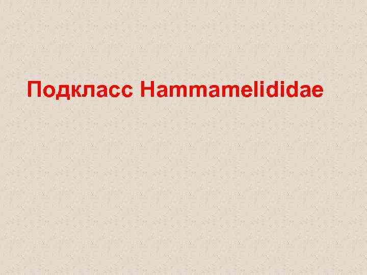 Подкласс Hammamelididae 