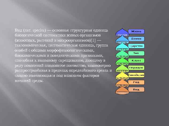 Распространена какой вид. Основная структура единица биологической систематики. Систематические единицы. Вид основная систематическая единица. Систематика единицы.