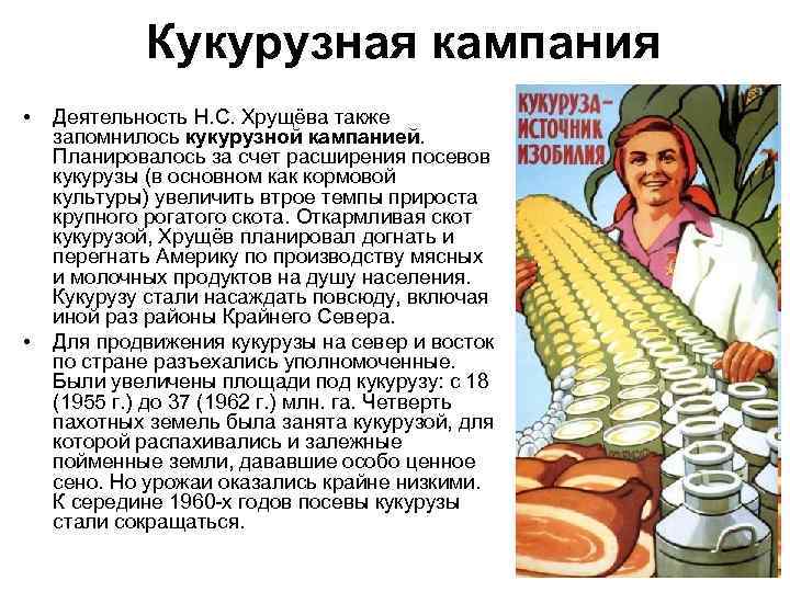 Кукурузная кампания • • Деятельность Н. С. Хрущёва также запомнилось кукурузной кампанией. Планировалось за