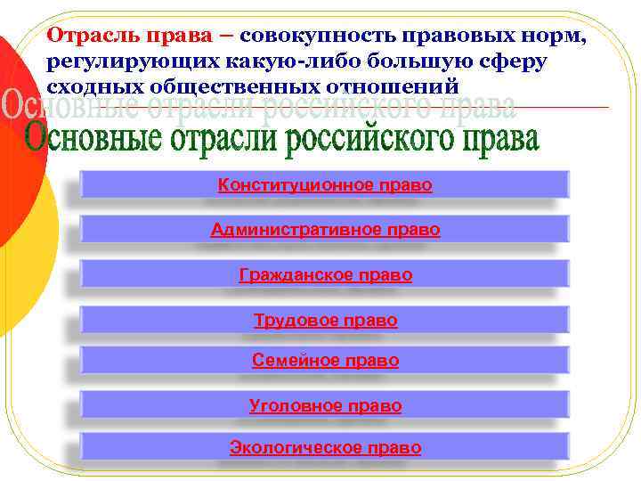 Отрасль права – совокупность правовых норм, регулирующих какую-либо большую сферу сходных общественных отношений Конституционное
