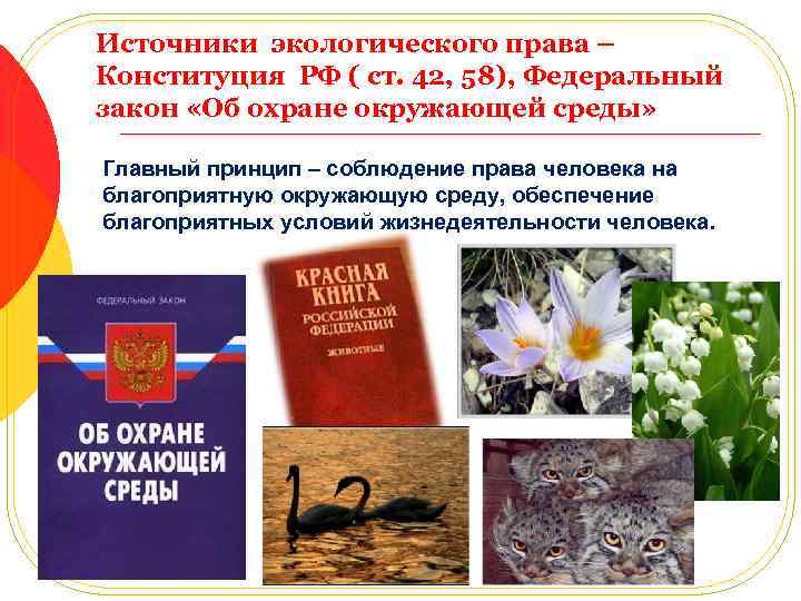 Источники экологического права – Конституция РФ ( ст. 42, 58), Федеральный закон «Об охране