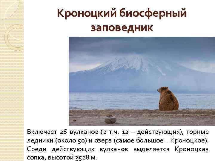 Кроноцкий биосферный заповедник Включает 26 вулканов (в т. ч. 12 – действующих), горные ледники