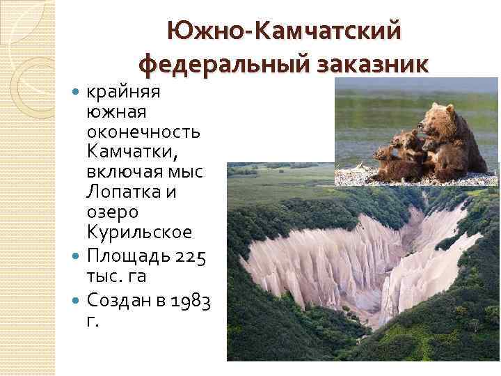 Южно-Камчатский федеральный заказник крайняя южная оконечность Камчатки, включая мыс Лопатка и озеро Курильское Площадь
