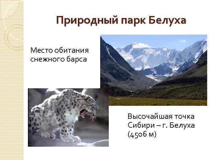 Природный парк Белуха Место обитания снежного барса Высочайшая точка Сибири – г. Белуха (4506