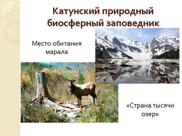 Катунский природный биосферный заповедник Место обитания марала «Страна тысячи озер» 