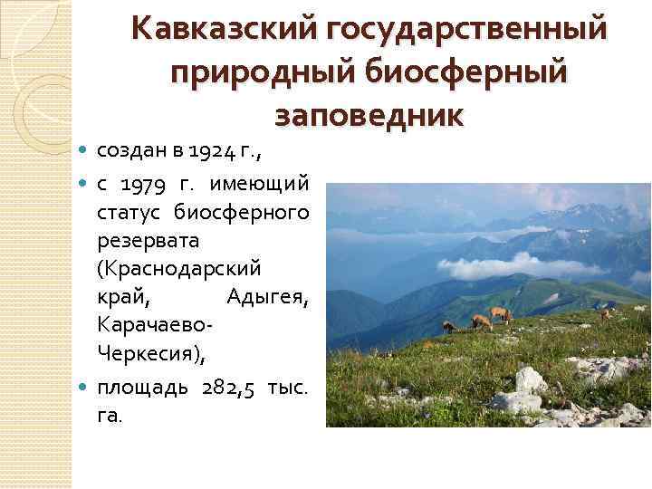 Кавказский государственный природный биосферный заповедник создан в 1924 г. , с 1979 г. имеющий