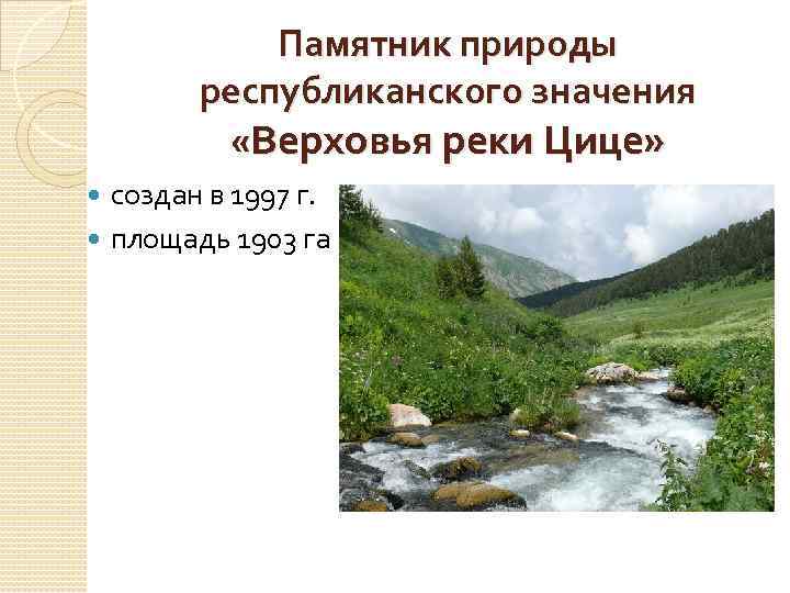 Памятник природы республиканского значения «Верховья реки Цице» создан в 1997 г. площадь 1903 га