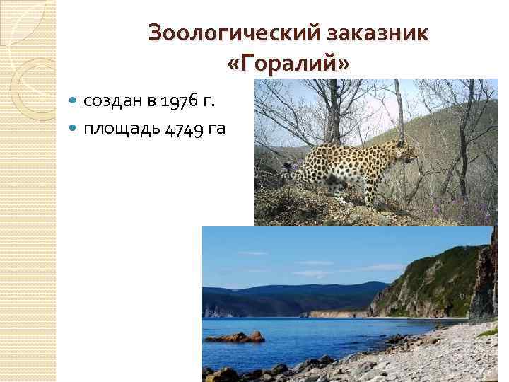 Зоологический заказник «Горалий» создан в 1976 г. площадь 4749 га 
