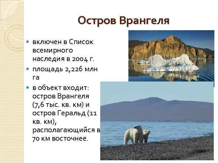 Остров Врангеля включен в Список всемирного наследия в 2004 г. площадь 2, 226 млн