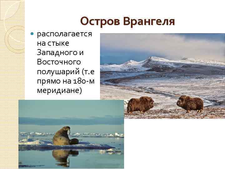 Остров Врангеля располагается на стыке Западного и Восточного полушарий (т. е прямо на 180