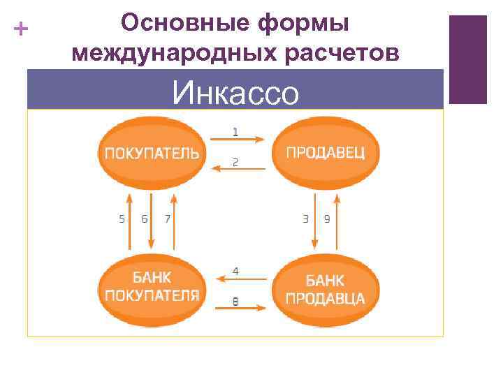 + Основные формы международных расчетов Инкассо 