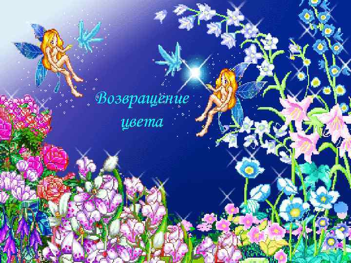 Возвращение цвета 