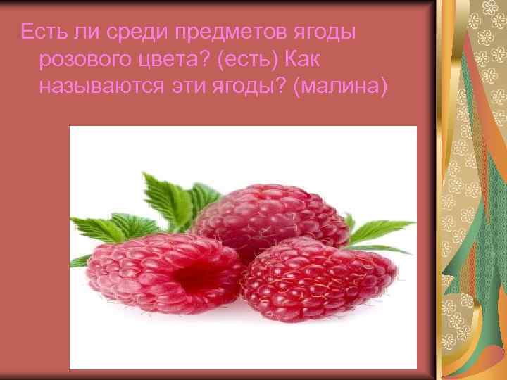 Есть ли среди предметов ягоды розового цвета? (есть) Как называются эти ягоды? (малина) 
