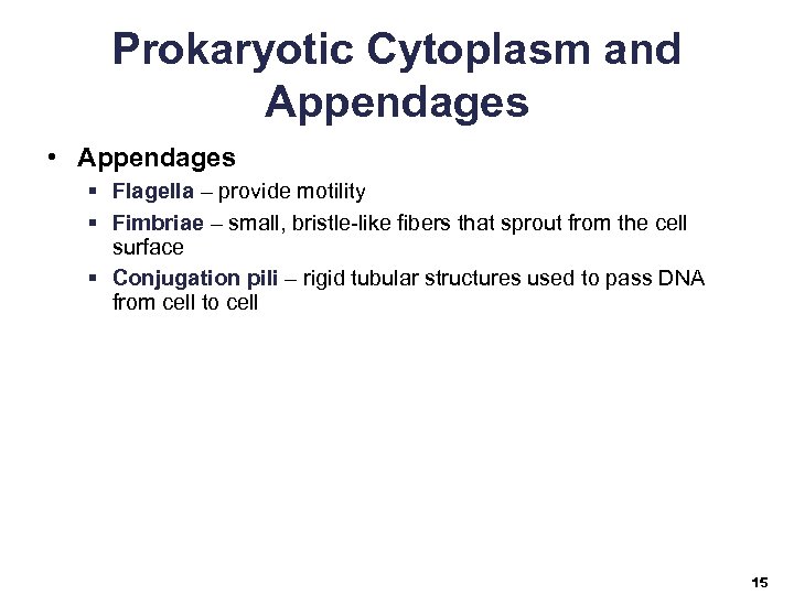 Prokaryotic Cytoplasm and Appendages • Appendages § Flagella – provide motility § Fimbriae –