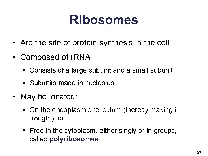 Ribosomes • Are the site of protein synthesis in the cell • Composed of