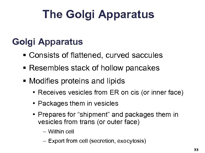 The Golgi Apparatus § Consists of flattened, curved saccules § Resembles stack of hollow