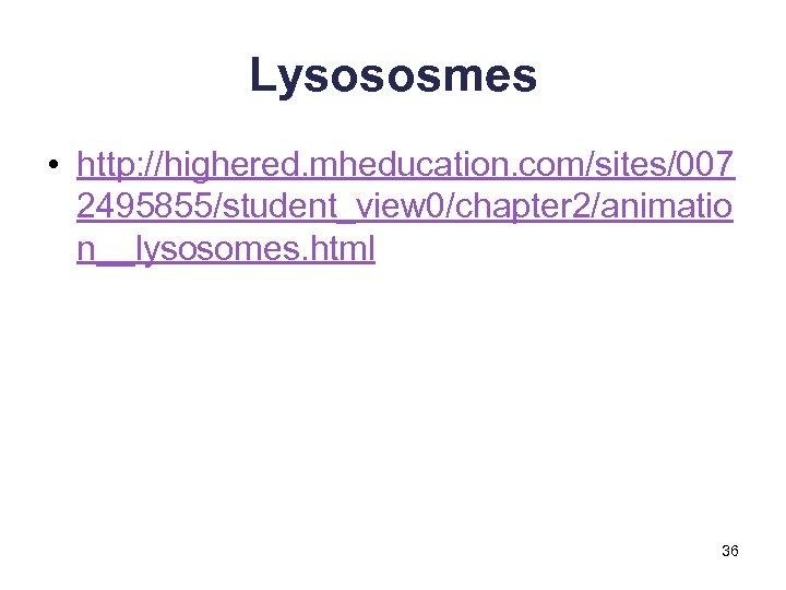 Lysososmes • http: //highered. mheducation. com/sites/007 2495855/student_view 0/chapter 2/animatio n__lysosomes. html 36 
