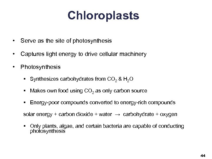 Chloroplasts • Serve as the site of photosynthesis • Captures light energy to drive