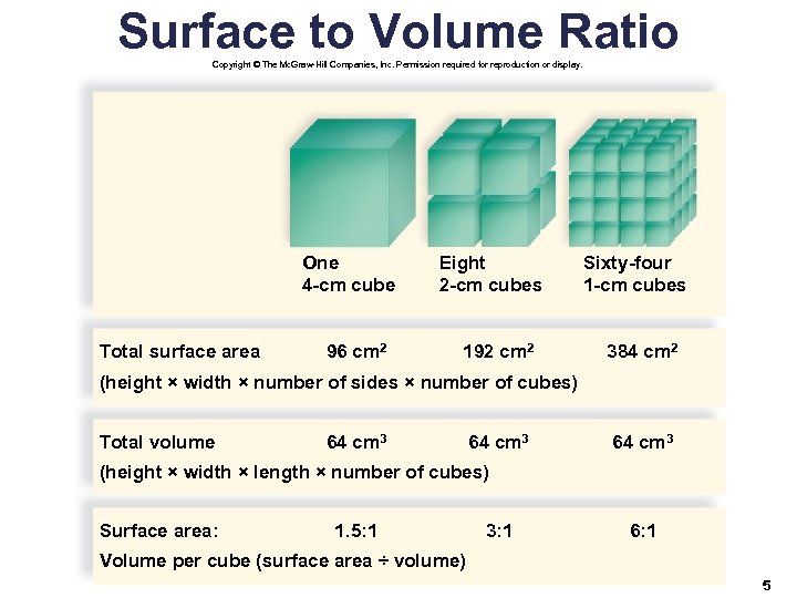 Surface to Volume Ratio Copyright © The Mc. Graw-Hill Companies, Inc. Permission required for