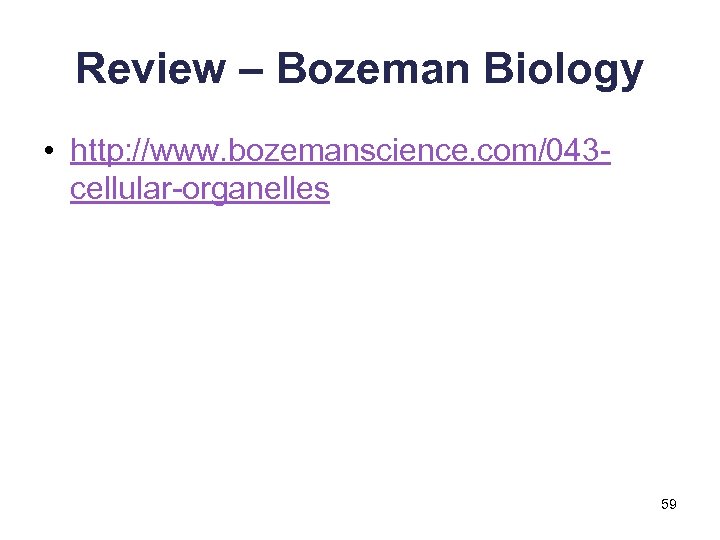 Review – Bozeman Biology • http: //www. bozemanscience. com/043 cellular-organelles 59 