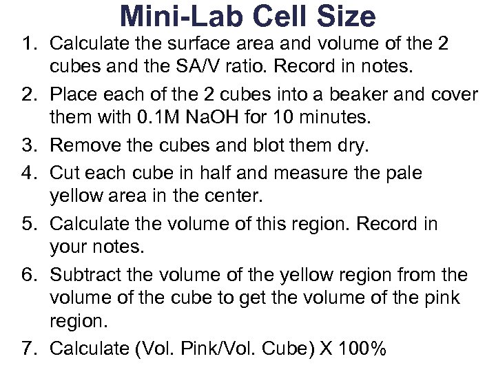 Mini-Lab Cell Size 1. Calculate the surface area and volume of the 2 cubes
