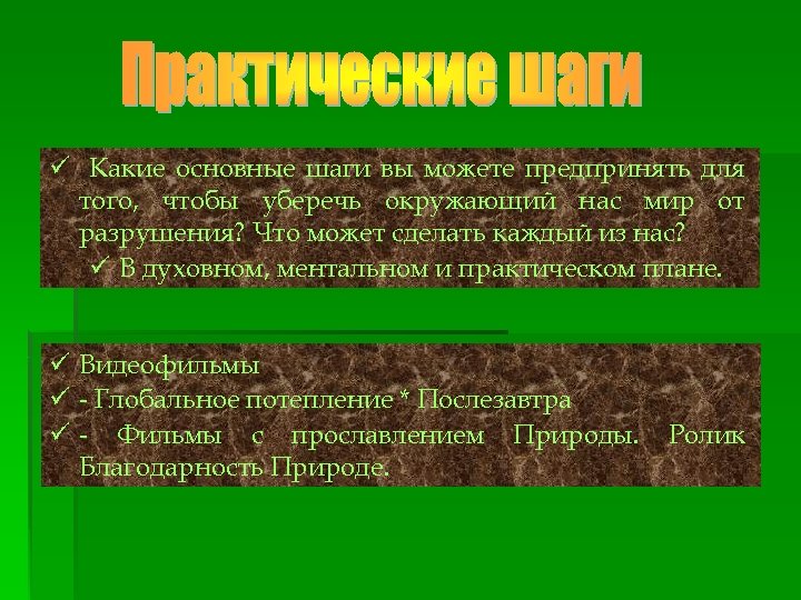 ü Какие основные шаги вы можете предпринять для того, чтобы уберечь окружающий нас мир