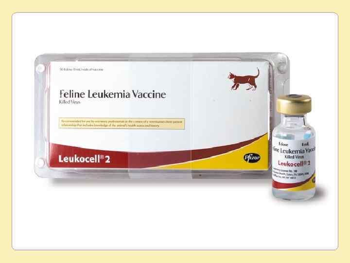Леоминор вакцина. Вакцина против лейкоза кошек. Вакцина от вирусной лейкемии кошек. Вакцина против лейкоза кошек кошек. Вакцина от лейкемии для кошек.