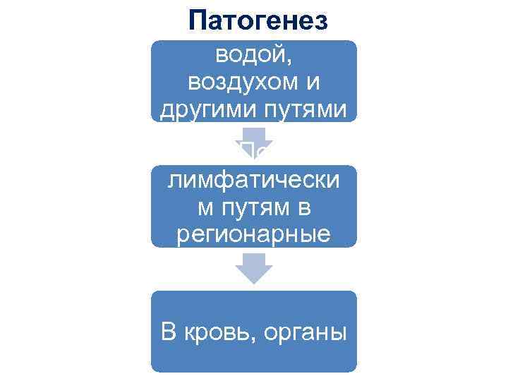 Патогенез С кормом, водой, воздухом и другими путями в организм По лимфатически м путям