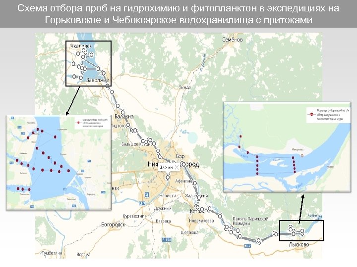 Схема отбора проб на гидрохимию и фитопланктон в экспедициях на Горьковское и Чебоксарское водохранилища