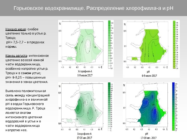 Горьковское водохранилище. Распределение хлорофилла-а и р. Н Начало июля: слабое цветение только в устье