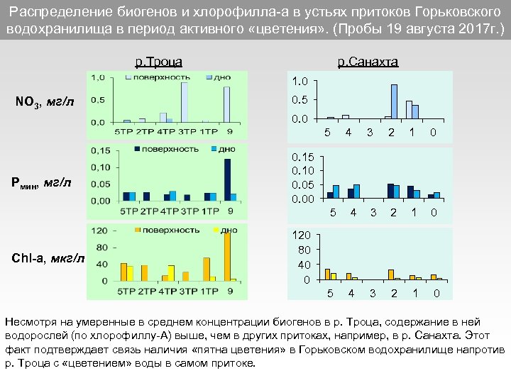 Распределение биогенов и хлорофилла-а в устьях притоков Горьковского водохранилища в период активного «цветения» .
