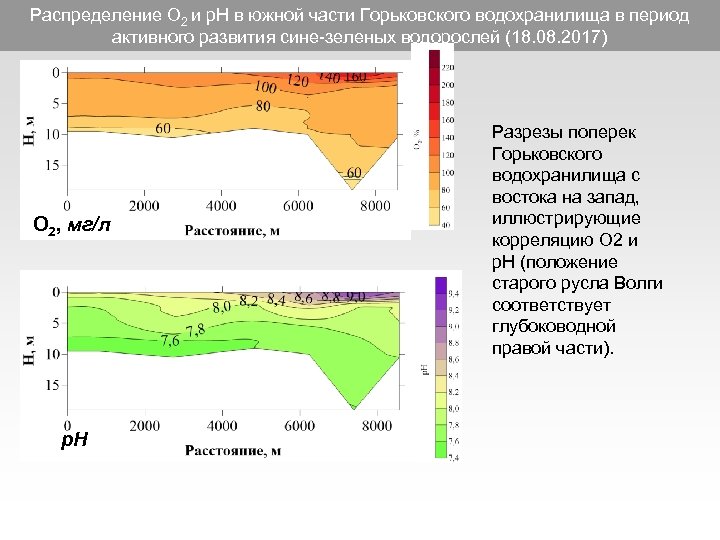 Распределение О 2 и р. Н в южной части Горьковского водохранилища в период активного