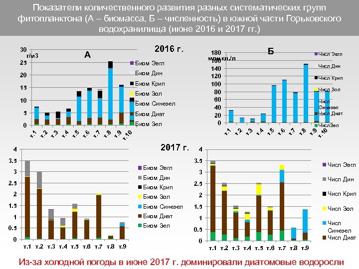 На диаграмме показано соотношение количества видов разных систематических групп организмов