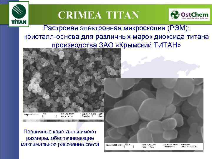 Растровая электронная микроскопия (РЭМ): кристалл-основа для различных марок диоксида титана производства ЗАО «Крымский ТИТАН»