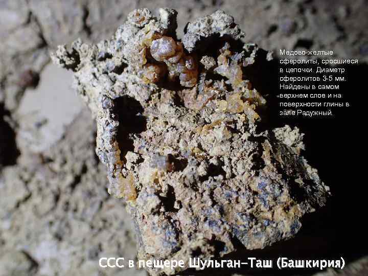 Медово-желтые сферолиты, сросшиеся в цепочки. Диаметр сферолитов 3 -5 мм. Найдены в самом верхнем