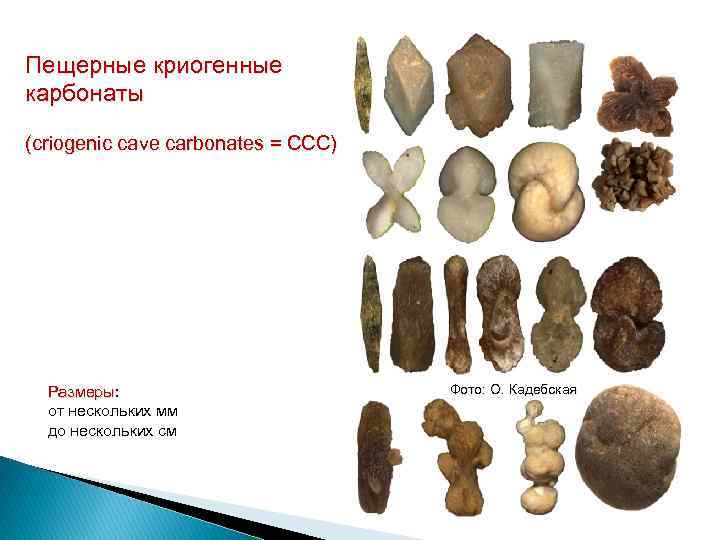 Пещерные криогенные карбонаты (criogenic cave carbonates = ССС) Размеры: Размеры от нескольких мм до