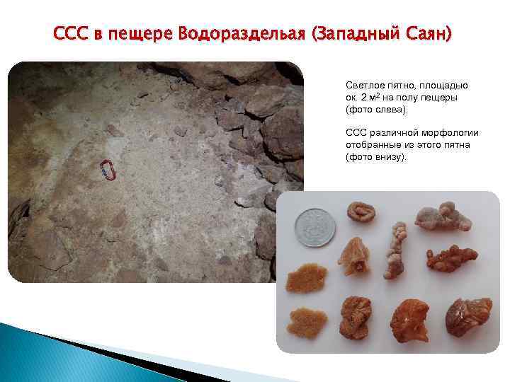 CCC в пещере Водораздельая (Западный Саян) Светлое пятно, площадью ок. 2 м 2 на