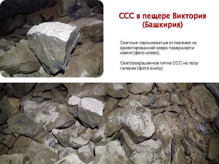 CCC в пещере Виктория (Башкирия) Светлые порошковатые отложения на ориентированной вверх поверхности камня (фото