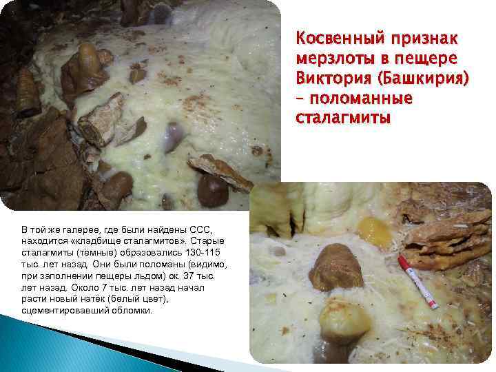 Косвенный признак мерзлоты в пещере Виктория (Башкирия) – поломанные сталагмиты В той же галерее,