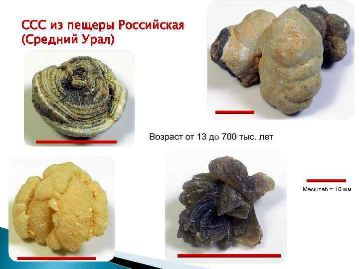 CCC из пещеры Российская (Средний Урал) Масштаб = 10 мм 