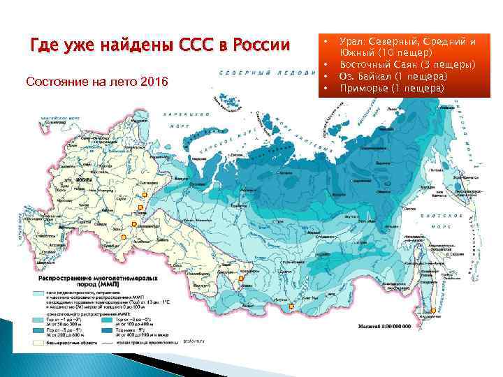 Где уже найдены ССС в России Состояние на лето 2016 • • Урал: Северный,