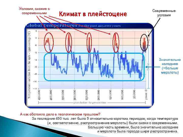 Условия, схожие с современными Климат в плейстоцене Современные условия Значительно холоднее (=больше мерзлоты) А